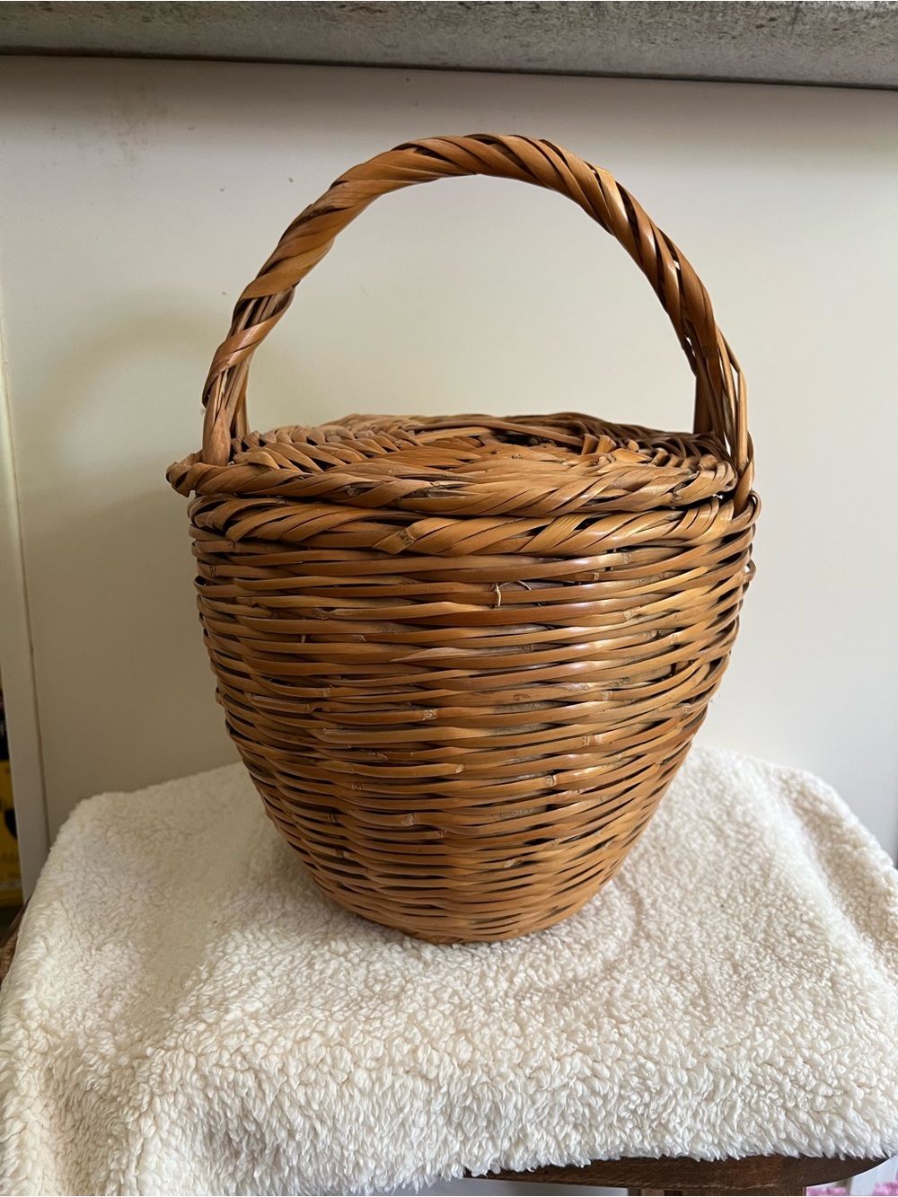 Woven Lidded Basket with Handle